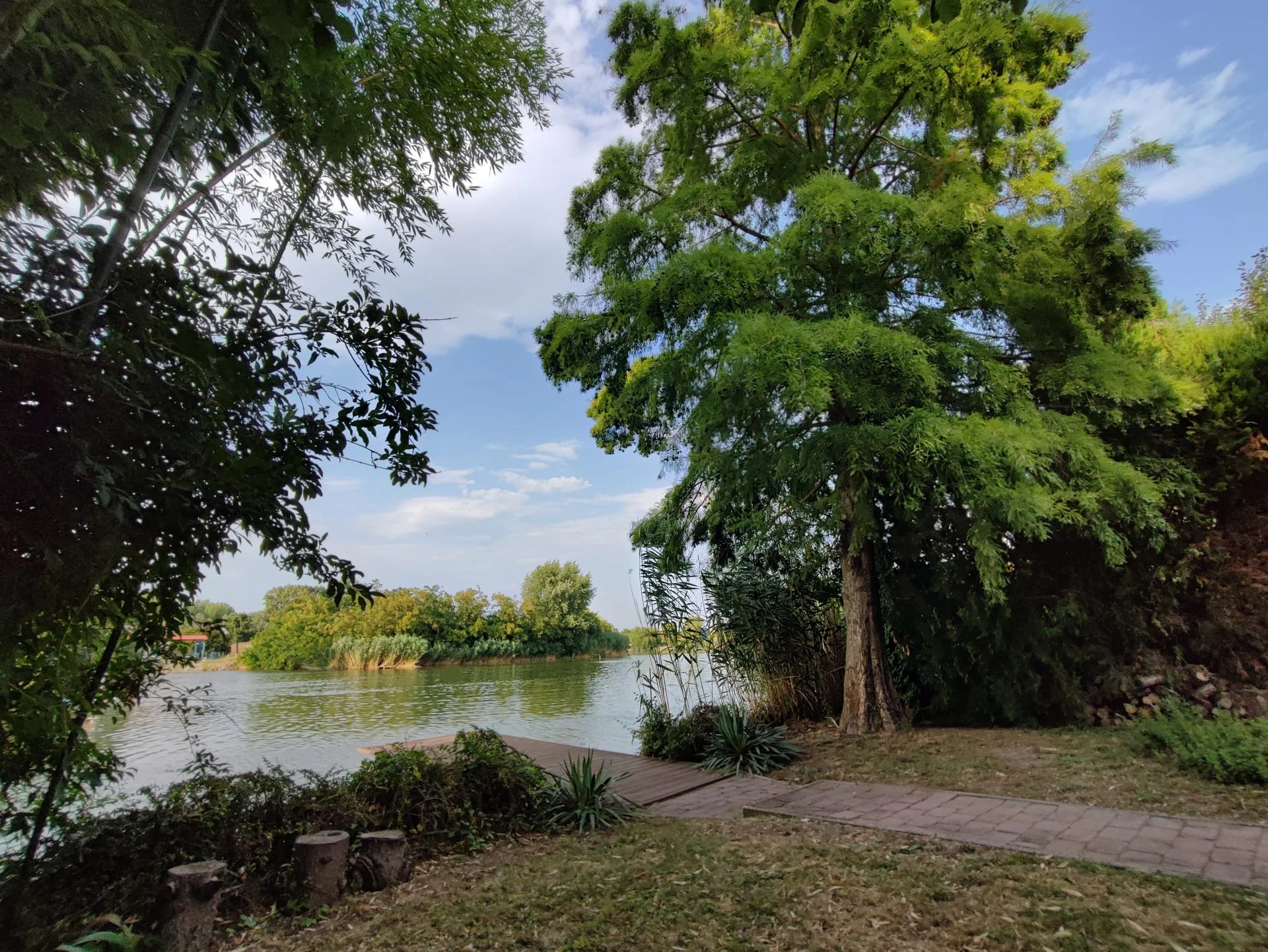 Panorámás kilátás a Holt-Körösre a folyóparti gyepről